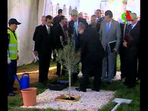 الشجرة التي غرسها الامريكي الملعون في الجزائر Youtube