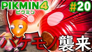 キツすぎる！恐怖のクイーンチャッピーがやってきた！『ピクミン4』を実況プレイ part20【PIKMIN4】