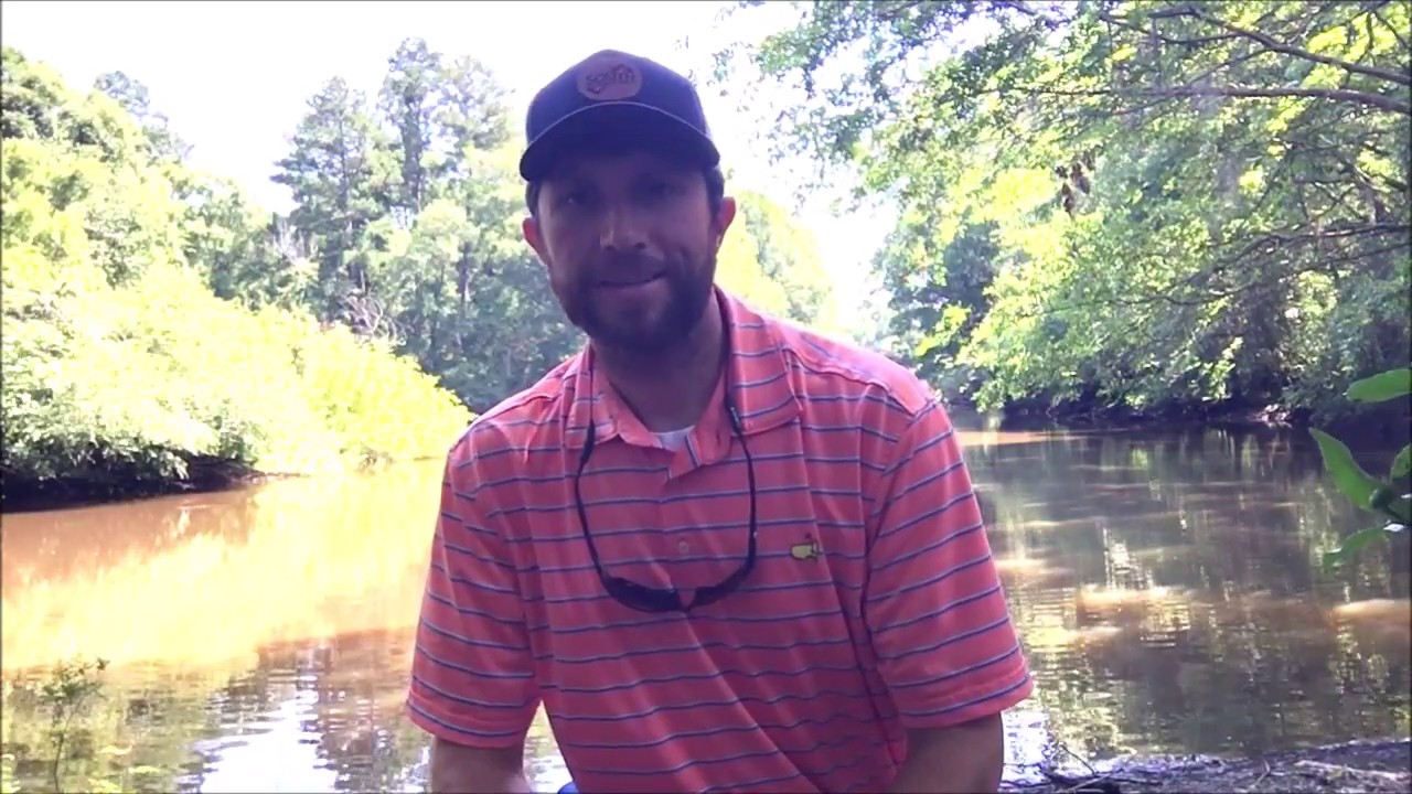 Ogeechee Pines, Midville, GA Bidding Ends July 16th YouTube