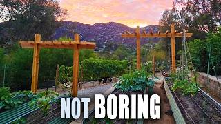 Why Your Garden Feels Boring (And How to Fix It)