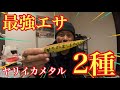 釣具屋のササミはもういらない！ヤリイカが狂ったように食ってくる入れ喰いエサを2種類紹介します！【ヤリイカメタル】
