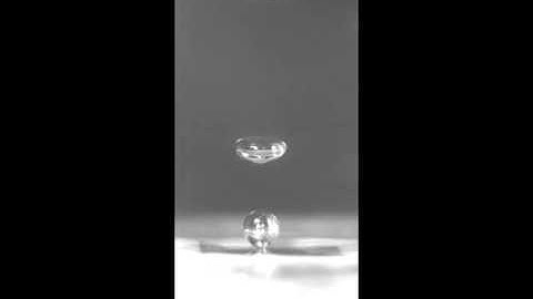 Single Bubble Dynamics