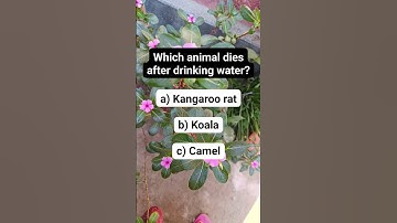 #brainteaser #riddlepuzzle