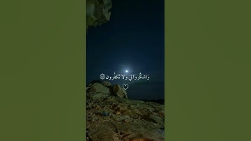اكتب شيء تؤجر عليه ❤️😴 | القارئ الشيخ اسلام صبحي