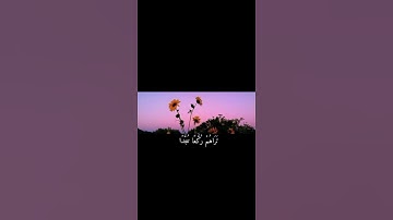 مُحَمَّدٌ رَسُولُ اللَّهِ وَالَّذِينَ مَعَهُ أَشِدَّاءُ ||تلاوة خاشعة بصوت الشيخ ياسر الدوسري 💗🌿