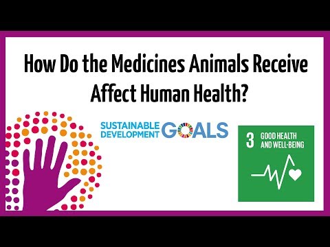 Video: How Animals Affect Human Health