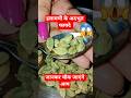इलायची के अदभुत फायदे #viral​ #facts​ #food​ #ayurved​ #healthydiet​ #helthbenefits​shorts