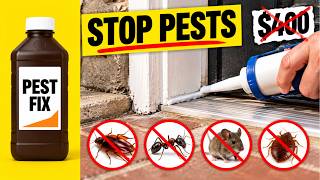 Full 9 Cheap Pest-Proofing Fixes That Make a $400 Exterminator Visit Look Like a Scam News