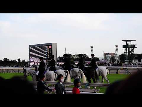 【天皇賞秋 2022】本場馬入場（現地映像）