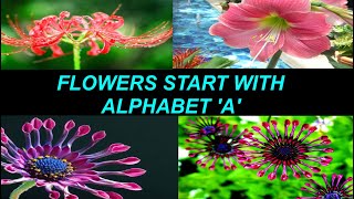 Top 15  Flowers 🌼🌻🌸 Start With Alphabet "A' | Names of Flowers | Types of flowers | MUST WATCH !!!