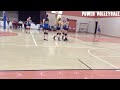T-REX PLAY VOLLEYBALL !? Funny Volleyball Videos (HD)