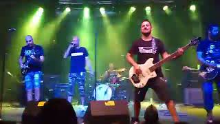Pajaritos - Concierto Paiporta 2017