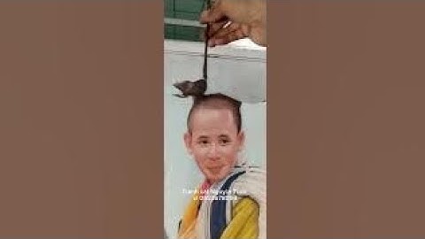 Thầy Minh Tuệ /vẽ tranh cát sư Minh Tuệ