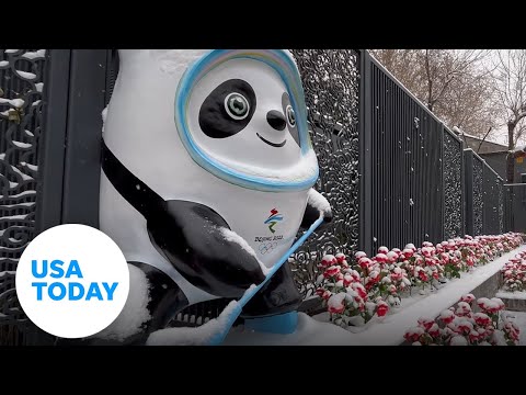 Bing Dwen Dwen is a panda with a spacesuit-like shell | USA TODAY