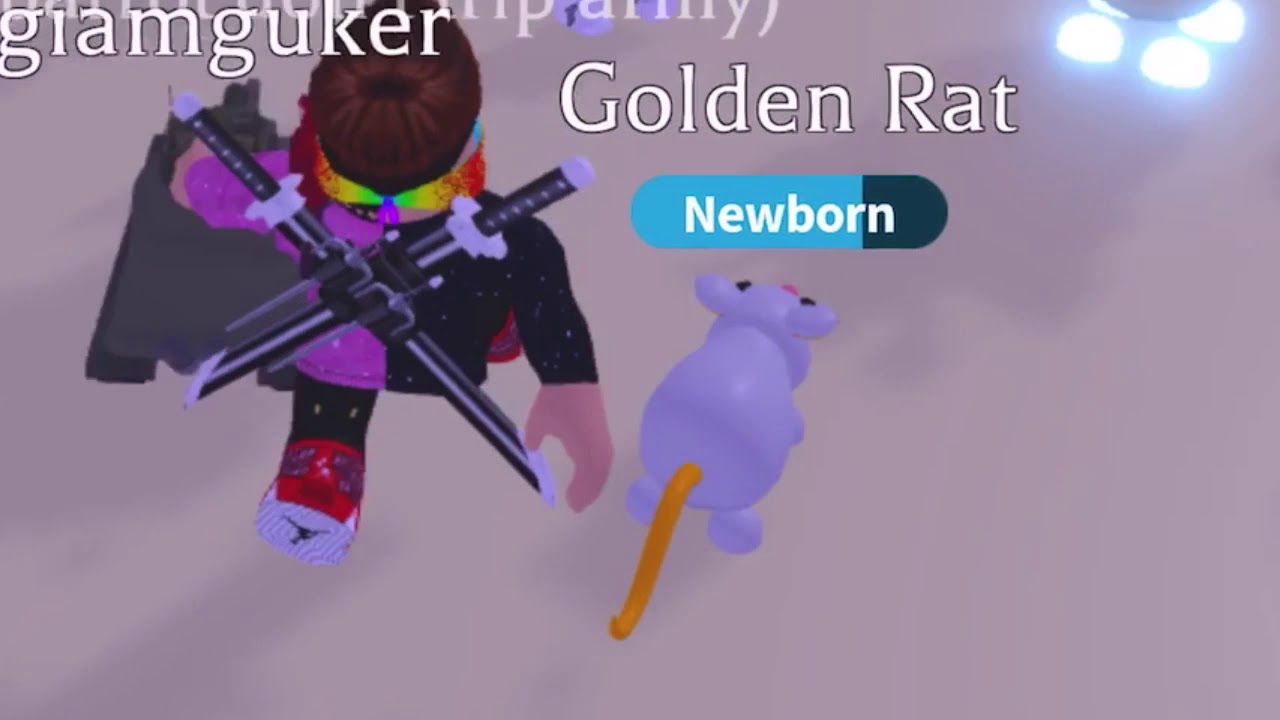 Offers For Golden Rat! Roblox Adopt Me YouTube