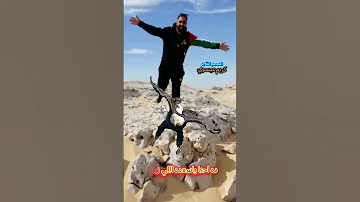 احنا كيف الصقر فوق حالات استوريهات كريم عيسوي مجنون مصر المصمم الفاجر بتاع الحالات والفيديوهات 