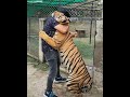 Tigers love  meet with tiger and hug  nouman hassan 