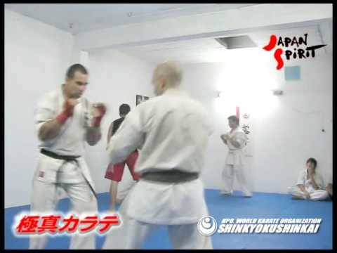 Kyokushin Tamashi Dojo