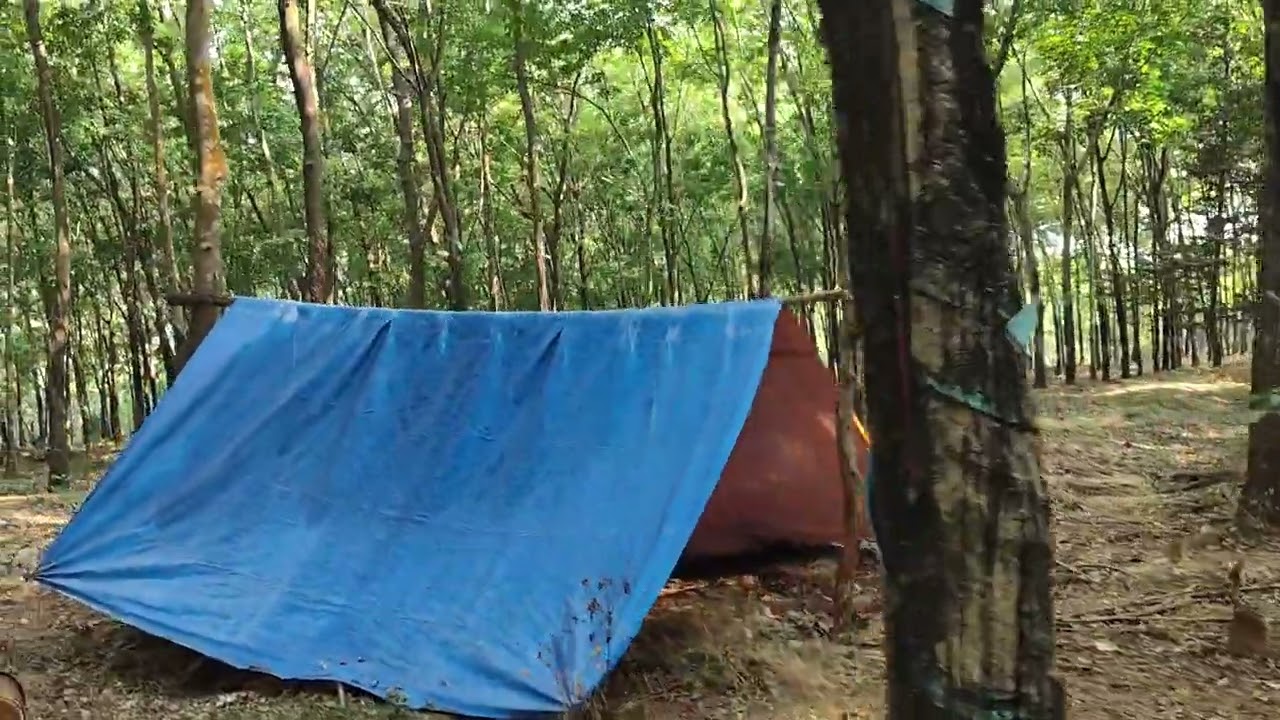 Cần bán gấp 6 hét 66 rẫy su+ điều có nhà  điện nước đầy đủ đất phước tân phú riềng ib 0376661761