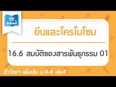 16.6 สมบัติของสารพันธุกรรม 01