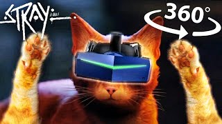 360° You Are A Cat In Vr! First Person Stray