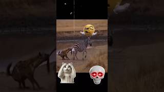 TZebra's Powerful Kick Can Kill a Lion! 😱 Most Dangerous Animal Defense #shortshe