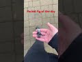 Pocket fig of the day #lego #legotoys #vairalshort #starwars #viralvideo #legostarwars
