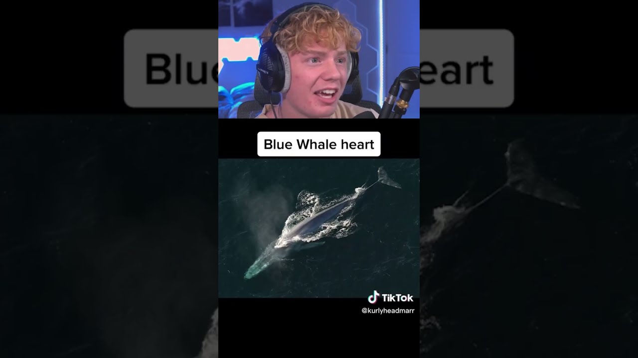 Things That Are Larger Than They Seem 