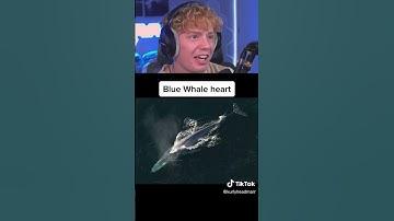 Things That Are Larger Than They Seem…