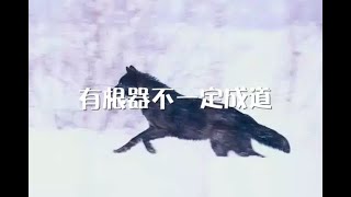 201202 有根器不一定成道00016