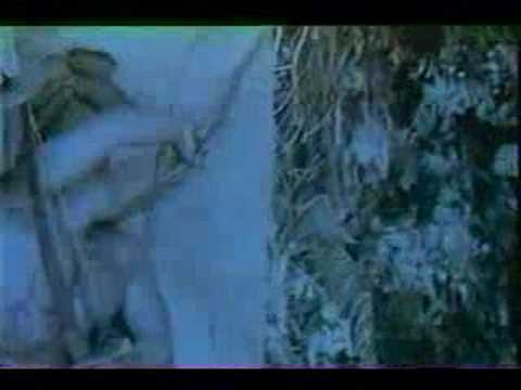 Ranker Video