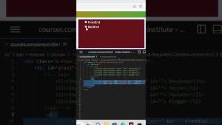 How to Change Website Checkbox & Radio Button color in CSS3 & HTML5  | Code With Bipin