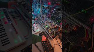 Wasp and Bass #modularsynths