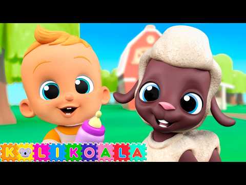 Baa Baa Black Sheep - Koli Koala children videos