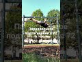 Параллельное подтягивание на «рукоходе», мне 72
