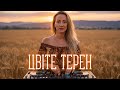 Цвіте Терен український етно діп хаус Незвичайний атмосферний ритм та ніжний жіночий вокал 