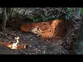 Wild camp in the forest excavated a natural shelter at a large tree root sleeping under the ground