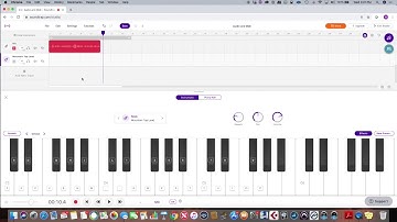 SoundTrap Video Midi & Audio Track