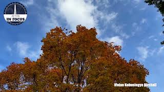 It’s Starting to look like Fall  - Acton Arboretum