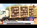Habari za Biashara | Kampuni za chai kufanyiwa marekebisho ya kisasa