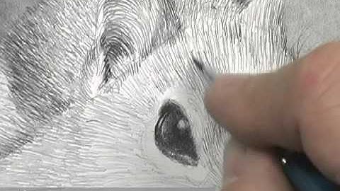 Draw with Confidence with David Kiter