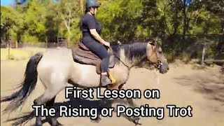 Beginner Riding Lesson - 1st time trying a Rising or Posting Trot on a horse with big motion