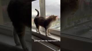 Annemle Tartıştım Ünyası Ğlıklıyaşam