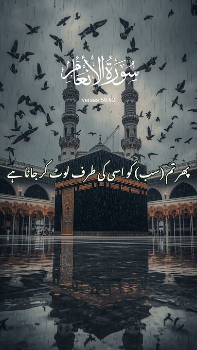 Surah Al Anam | #shorts #shortsviral #shortsvideo #shortsfeed #islamicscripture #quran #islam #fyp