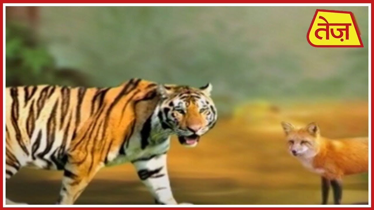 astros मैं भाग्य हूं : Main Bhagya Hoon | Daily Horoscope | January 31st, 2019 | 9.30 AM