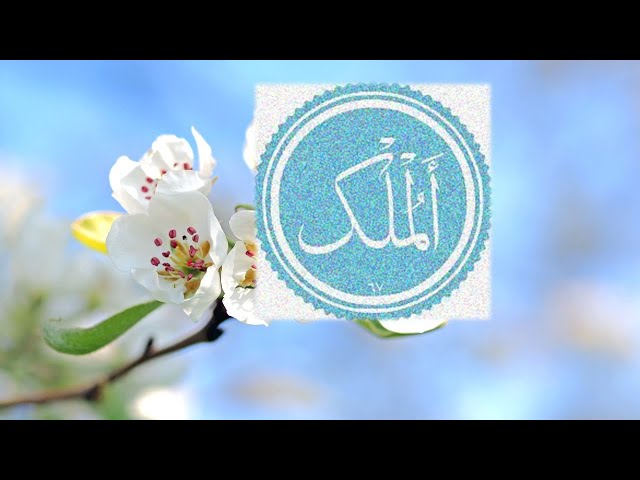 Surah Mulk | Quran Ayat | Listen Sura Mulk | Sahi Manzil class=