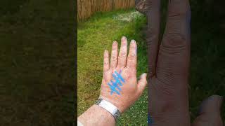 Workshop activities with me on the Crannog