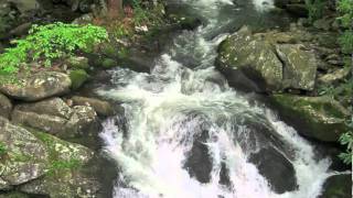 Download Lagu The Babe of Bethlehem MP3