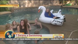 12 Days: 7 Swans Swimming Pt.2