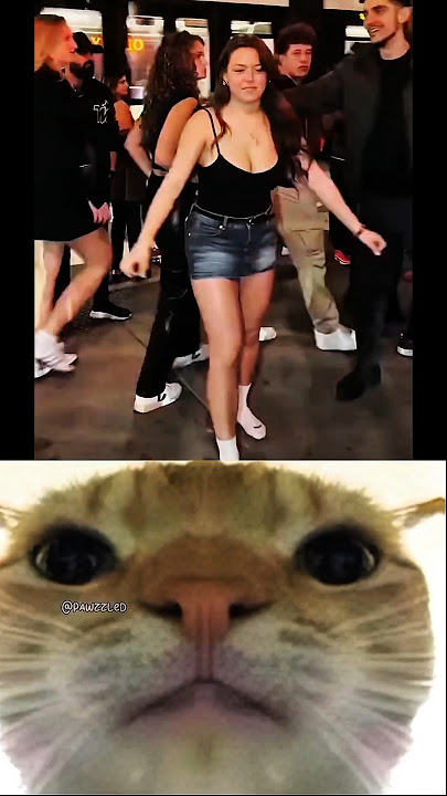 How it possible 🗿 #cat #meme #dance #funny